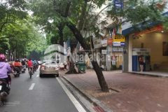 Nhà bán mặt phố trần khánh dư giá 15.8 tỷ, 60m2, mt 6,5m. kd tốt