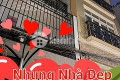 Hiếm vào ở ngay hẻm xe hơi 4 tầng quận 7 chỉ 7.2 tỷ