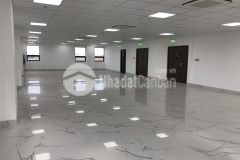 Mới nhất vp trống 200 300m2 cho team 40 60 nhân sự khu vực hải châu mizuland