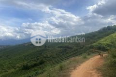 Chính chủ cần bán gấp lô đất đẹp tại chiềng sơn, mộc châu