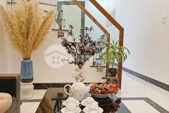 Phân lô phố cổ hà đông gần phố ô tô đỗ cửa tiện ích ngập tràn tô hiệu hà đông 41m2 6tỷ.