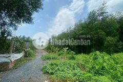 2481m2 đất xã tân thới nhì, hóc môn giá 20 tỷ