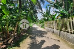 Bán đất 20m x 15m 333m2 đất 150m2 tc, rạch hàng bần, phú thứ, cái răng, cần thơ.