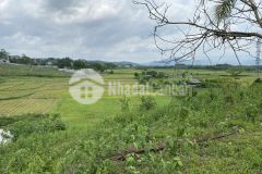 Bán cắt lỗ đất lương sơn dt 1000m giá 2 tỷ