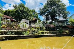 Homestay 5100m2 trung tâm tp bmt