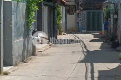 Bán nhà nguyễn oanh, gò vấp, 100m2, 5x20 chỉ 6 tỷ