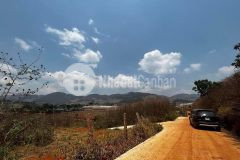 Cần bán gấp 6,5 tỷ 1107m2 chuyển đổi được full đất ở tại tà nung đà lạt