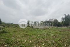 Bán cắt lỗ 1000m gần kcn nhuận trạch, dự án nghỉ dưỡng, giá 3 tỷ