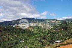 Cần bán đất nông nghiệp giá rẻ ven đà lạt giáp suối