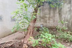 Bán đất mặt phố cổ linh thạch bàn 36m long biên