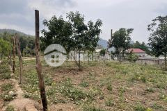 Đất nền mộc châu, lô đất siêu vip với vị trí cực đẹp, gần các khu du lịch nổi tiếng