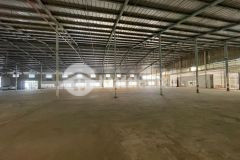 Cho thuê kho 6000m2 cụm kcn hoàng gia, mỹ hạnh nam, đức hoà, long an