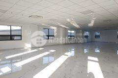 List văn phòng trống 100 300m2, dành cho team dưới 60 nhân sự, khu vực hải châu mizuland