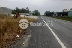 1 công mặt tiền tỉnh lộ 878,tam hiệp,châu thành,tiền giang