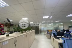 Cho thuê nhà xưởng tại điềm thụy. thái nguyên