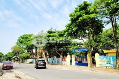 Gấp gấp bán mảnh đất đông mỹ dt 54m2 mt 4m, lô góc, ô tô 7 chỗ vào nhà, giá 2 tỷ