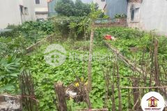 Bán đất 85m2 lỗ giao việt hùng đông anh hà nội mt 4m đường ô tô tránh nhỉnh 3 tỷ lh 0888481126.