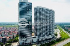 Bán nhanh 115m2 đất,mt 4,2m, tại vĩnh ngọc,đông anh giá chỉ 9 tỷ.