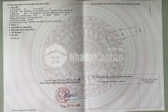 Chính chủ bán gấp lô đất sổ đỏ khu đấu giá thôn tử dương, cao thành, ứng hòa