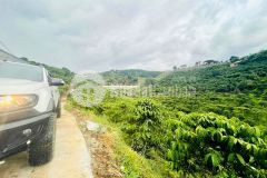 Căt lô ban gâp lô 2 măt tiên ta nung đa lat