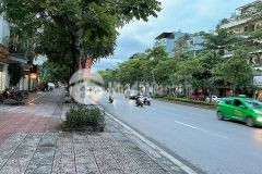 Đất phân lô cổ linh, thạch bàn, 85m, kinh doanh mặt phố, giảm giá 19 tỷ