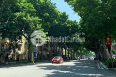 Khách sạn phố trần hưng đạo hoàn kiếm 9 tầng mt rộng dòng tiền 2 tỷnăm 93x8m 28 tỷ