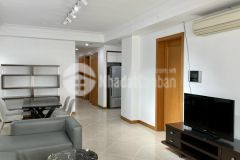 Căn hộ 3 phòng ngủ, đầy đủ nội thất, gần cầu thủ thiêm