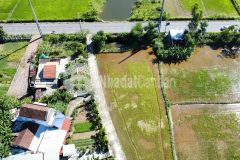 1.700 m2 đất nông nghiệp, giá 500 triệu