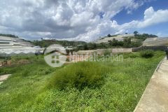 Ban đât biêt thư view đep phươc thanh p7 đa lat