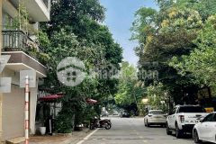 Đất đấu giá lâm hạ 87m2, vỉ hè, ô tô đánh võng. độc nhất vô nhị