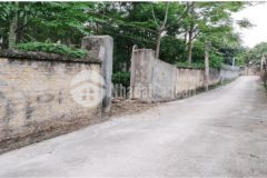 Tiềm năng đầu tư hấp dẫn lô đất 1440m2 ở ba vì một cơ hội không thể bỏ qua.