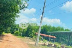 Bán đất bình dương, dầu tiếng, minh thạnh 505 triệu bao cả sổ, công chứng ngay nha cả nhà