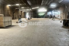 Cho thuê kho, nhà xưởng tại xã phù đổng. gia lâm. h. n