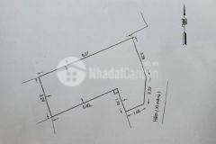 Vị trí đắc địa quận 10 1 căn ra mặt tiền 31m2 4,8 tỷ