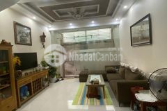 B á n nhà phố phan kế bính ô tô đỗ sát nhà 52m2 5 tầng mặt tiền 4.6m 7.2tỷ 0394743696