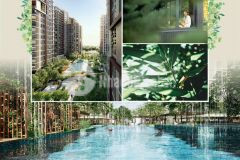 Dự án elysian gamuda land có hồ bơi đa năng gần 1000m2, hồ bơi chuẩn olympic.