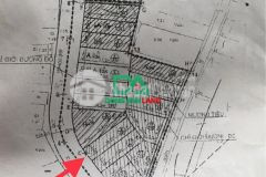 Bán đất đấu giá tiên hội đông hội đông anh sát dự án vinhomes cổ loa