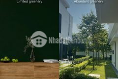 Điểm khác biệt chỉ có tại căn hộ thiết kế biophilic