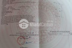 Bán gấp lô biệt thự tại dự án eden rose giá rẻ chỉ bằng 12 dự án rue de charme. lh 0389587708