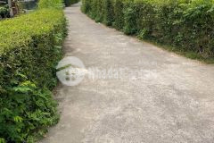 Điện hoà sát đường võ như hưng giá 350tr lh 0935196248