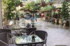 Bán căn hộ tầng 1 chung cư đông phát vừa ở vừa kinh doanh buôn bán