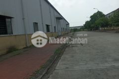 Cho thuê kho, xưởng tại kcn đại đồng. hoàn sơn. bắc ninh