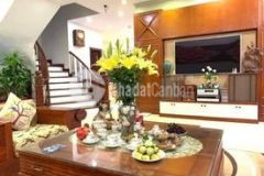 Bán nhà phân lô phố đỗ quang, vị trí đắc địa, mt to, vỉa hè, ô tô tránh, kinh doanh đỉnh.