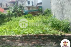 Bán đất 50m2 phúc thọ mai lâm đông anh tiện ích đầy đủ nhỉnh 1 tỷ lh 0865665934.