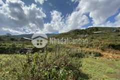 Bán mảnh đất 500m2, view ruộng bậc thang ở giàng tra, tả phìn, sapa