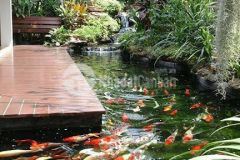 Cho thuê mặt bằng kinh doanh giá tốt tttp và an thượng giá 20 45triệu