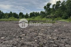 Bán đất vườn 1000m2 tân thành, thủ thừa, long an