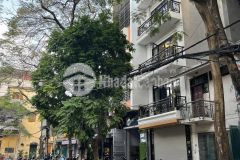 Bán gấp nhà phố tạ quang bửu 33.5 tỷ 160m2, 6t thang máy vỉa hè rộng kinh doanh đẳng cấp