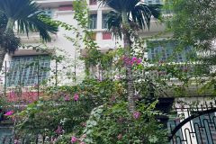 Bán biệt thự kđt đại kim, ô tô tránh vỉa hè mặt tiền rộng kinh doanh vp 168m hơn 30tỷ