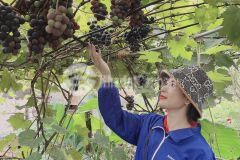 Cần tiền bán gấp ô đất 400m2 tại tả phìn sa pa